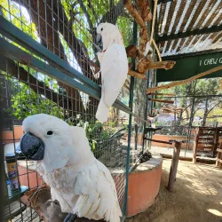 Lory Park Zoo and Sanctuary - Midrand