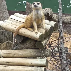 Lory Park Zoo and Sanctuary - Midrand