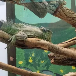 Lory Park Zoo and Sanctuary - Midrand