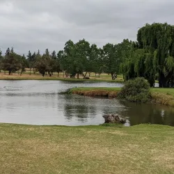 Midrand Golf Club - Midrand