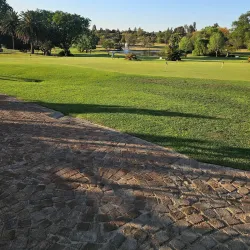 Midrand Golf Club - Midrand