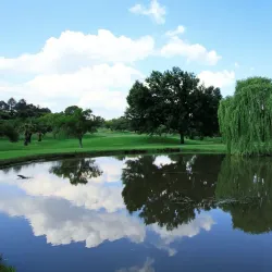 Midrand Golf Club - Midrand