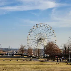 Midrand Regional Park - Midrand