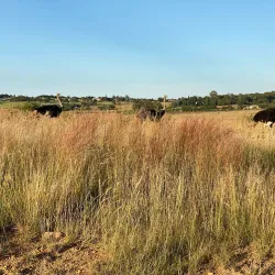 Rietvlei Nature Reserve - Midrand