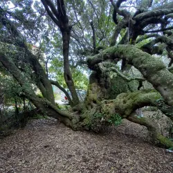 Bartolomeu Dias Museum Complex - Mossel Bay
