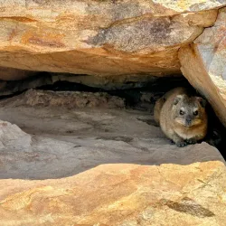 Cape St. Blaize Lighthouse - Mossel Bay
