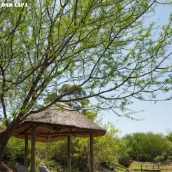 Old Water Mill - Mossel Bay