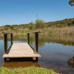 Old Water Mill - Mossel Bay