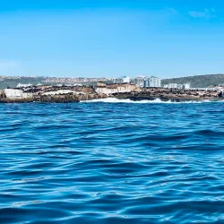 Seal Island - Mossel Bay