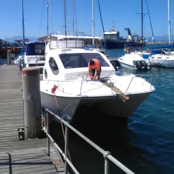 Shark Cage Diving - Mossel Bay