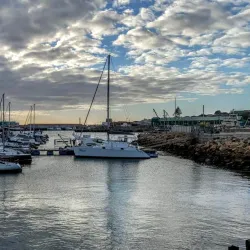 Shark Cage Diving - Mossel Bay