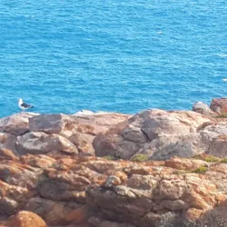 St. Blaize Hiking Trail - Mossel Bay