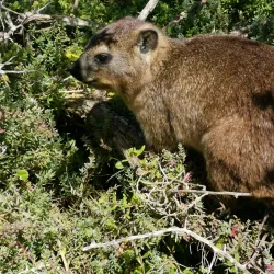 St. Blaize Hiking Trail - Mossel Bay