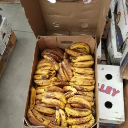 Mthatha Market - Mthatha