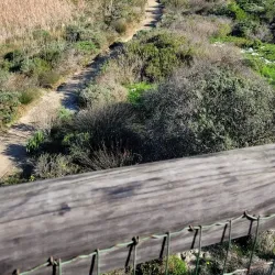 False Bay Nature Reserve - Muizenberg