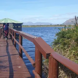 False Bay Nature Reserve - Muizenberg