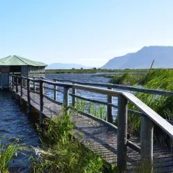 False Bay Nature Reserve - Muizenberg