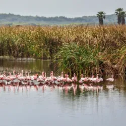 False Bay Nature Reserve - Muizenberg
