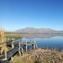 False Bay Nature Reserve - Muizenberg