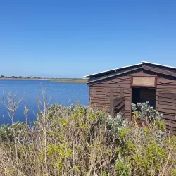 False Bay Nature Reserve - Muizenberg