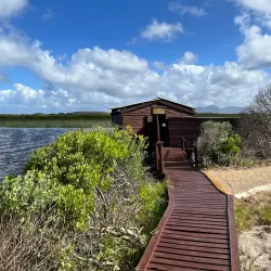 False Bay Nature Reserve - Muizenberg