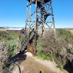False Bay Nature Reserve - Muizenberg