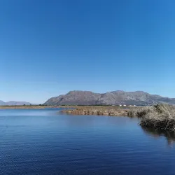 False Bay Nature Reserve - Muizenberg
