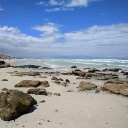 Muizenberg Beach - Muizenberg