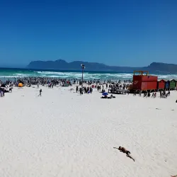 Muizenberg Beach - Muizenberg