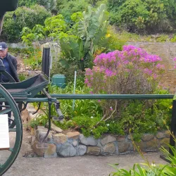 Muizenberg Museum - Muizenberg