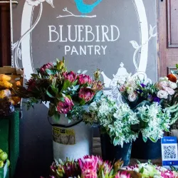 The Blue Bird Garage - Muizenberg
