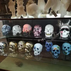 The Blue Bird Garage - Muizenberg