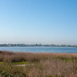 Zandvlei Estuary Nature Reserve - Muizenberg