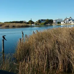 Zandvlei Estuary Nature Reserve - Muizenberg