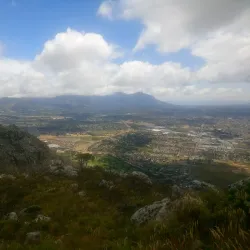 Zandvlei Estuary Nature Reserve - Muizenberg