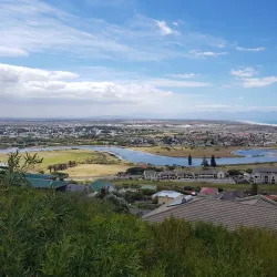Zandvlei Estuary Nature Reserve - Muizenberg