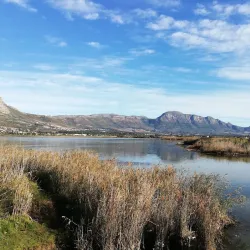 Zandvlei Estuary Nature Reserve - Muizenberg
