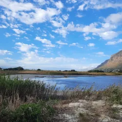 Zandvlei Estuary Nature Reserve - Muizenberg