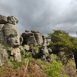 Kaapsehoop - Nelspruit