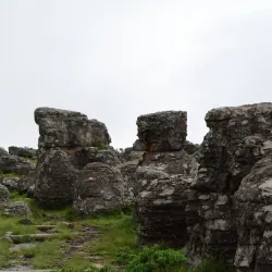 Kaapsehoop - Nelspruit