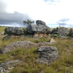 Kaapsehoop - Nelspruit