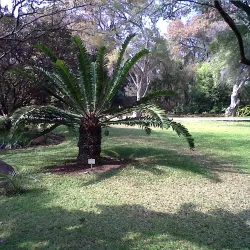 Lowveld National Botanical Garden - Nelspruit