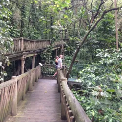 Lowveld National Botanical Garden - Nelspruit