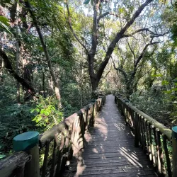 Lowveld National Botanical Garden - Nelspruit