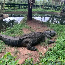 Reptile Park - Nelspruit