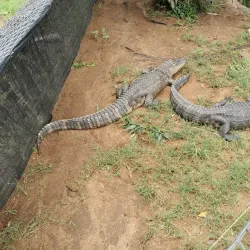 Reptile Park - Nelspruit