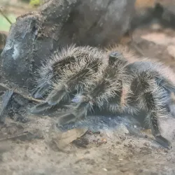 Reptile Park - Nelspruit