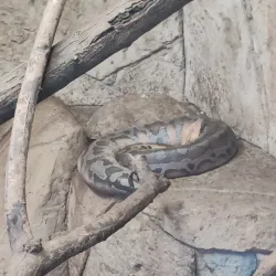 Reptile Park - Nelspruit