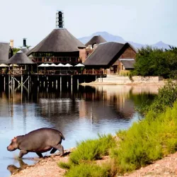 Buffelsdrift Game Lodge - Oudtshoorn