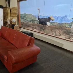 CP Nel Museum - Oudtshoorn